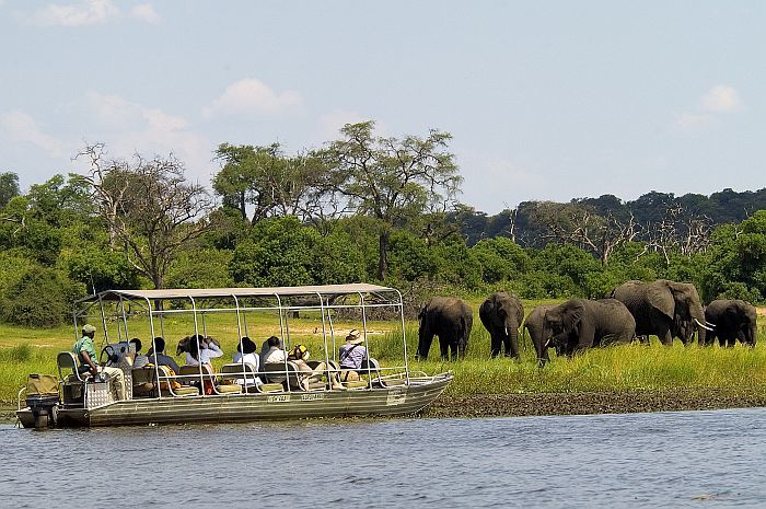 Botswana Safaris