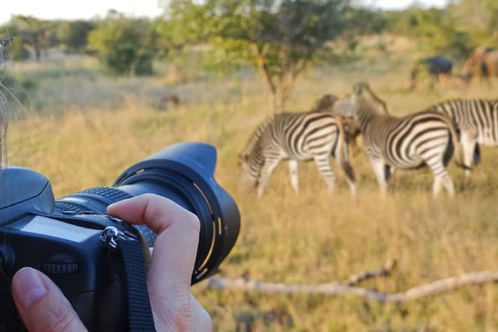 Kruger_Photographic Safari_SS_206687662 lo