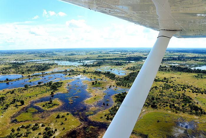 Botswana Safaris