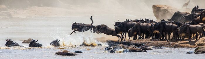 Cedarberg Travel | Sky Safari in East Africa