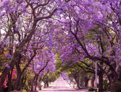 Adventurous Self-drive safari routes in South Africa & Namibia