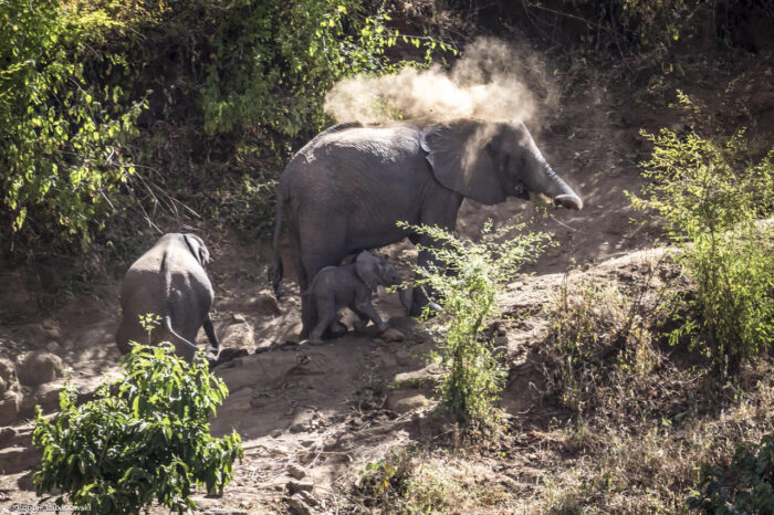 Cedarberg Travel | Kitich Camp Mathews Forest