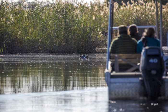 Cedarberg Travel | Namushasha River Lodge