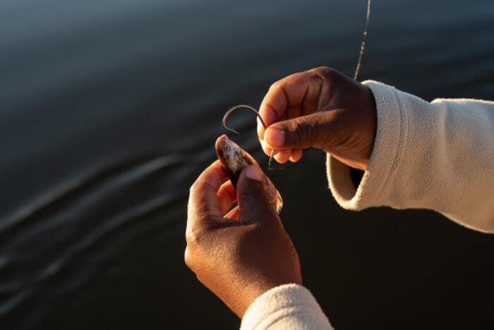 Cedarberg Travel | Ichingo Chobe River Lodge