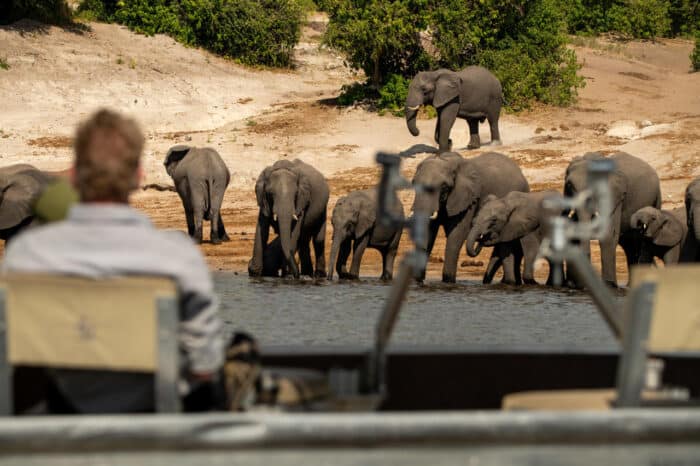 Cedarberg Travel | Zambezi Queen Collection