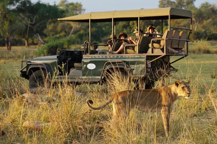 Cedarberg Travel | Chindeni Bush Camp