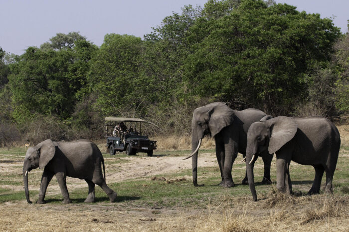 Cedarberg Travel | Kuyenda Bush Camp