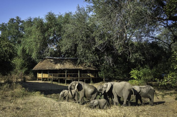 Cedarberg Travel | Bilimungwe Bush Camp