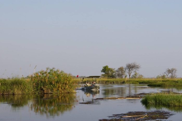 Cedarberg Travel | Camp Okuti