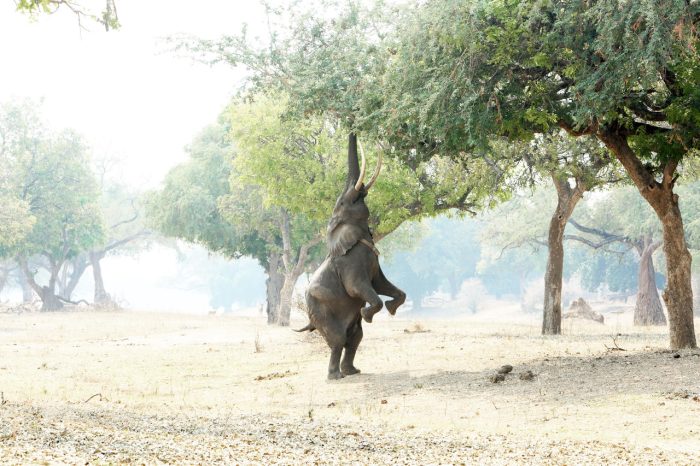 Cedarberg Travel | Zambezi Expeditions