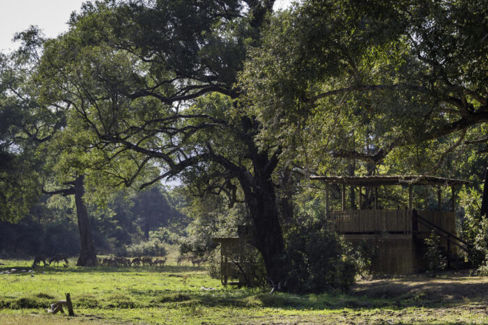 Cedarberg Travel | Chamilandu Bush Camp