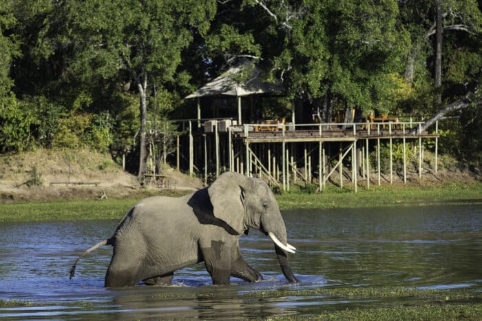 Cedarberg Travel | Chindeni Bush Camp