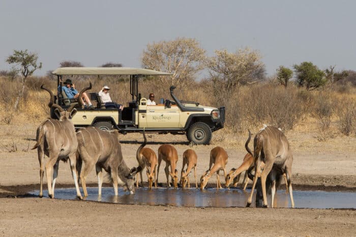 Cedarberg Travel | Dinaka Camp