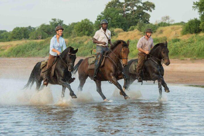 Cedarberg Travel | Mashatu Lodge