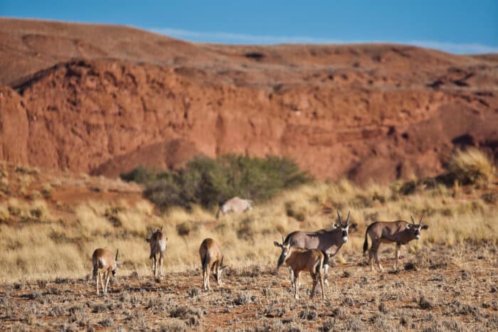 Cedarberg Travel | Namib Desert Lodge