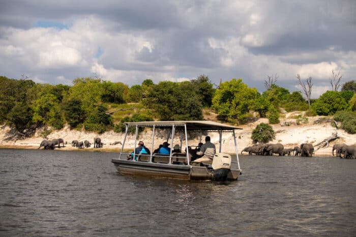 Cedarberg Travel | Ichingo Chobe River Lodge