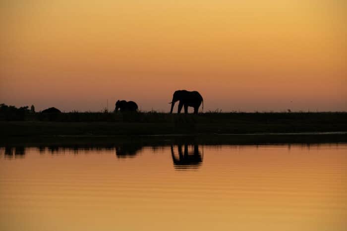 Cedarberg Travel | Zambezi Queen Collection