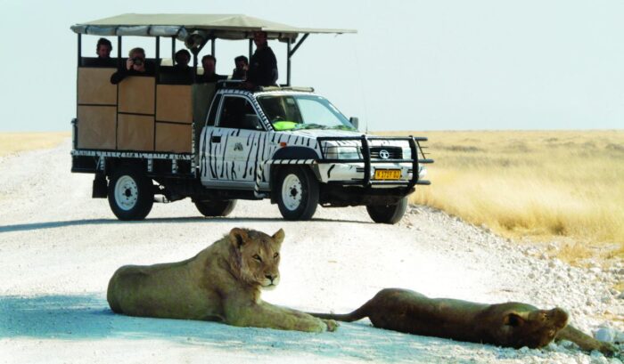 Cedarberg Travel | Etosha Safari Camp