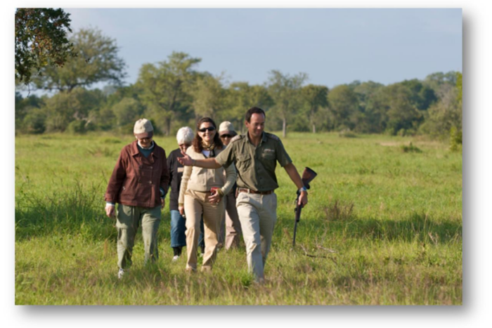 Cedarberg Travel | Sabi Sabi Bush Lodge