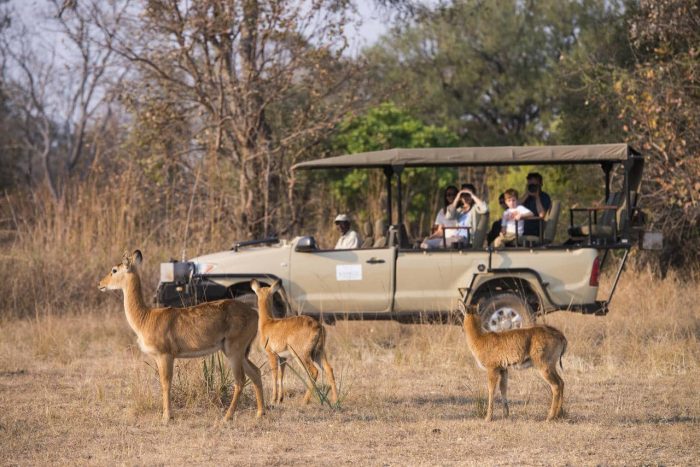 Cedarberg Travel | Kaingu Safari Lodge