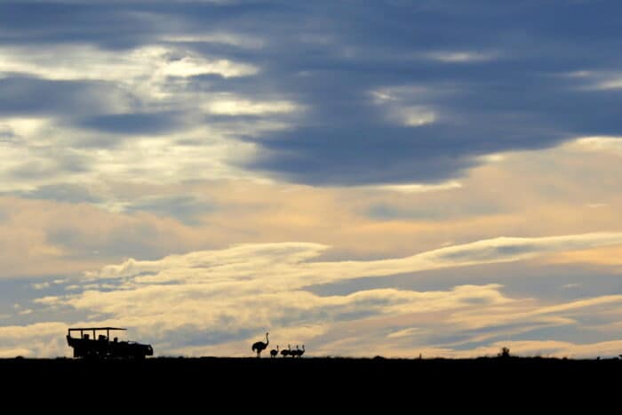 Cedarberg Travel | Amakhala Hlosi Lodge