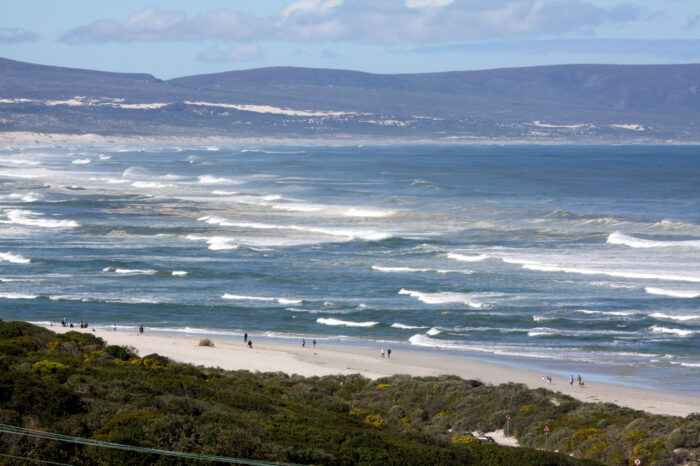 Cedarberg Travel | Lavender Manor