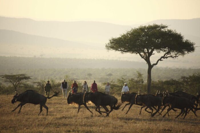 Cedarberg Travel | Kicheche Valley