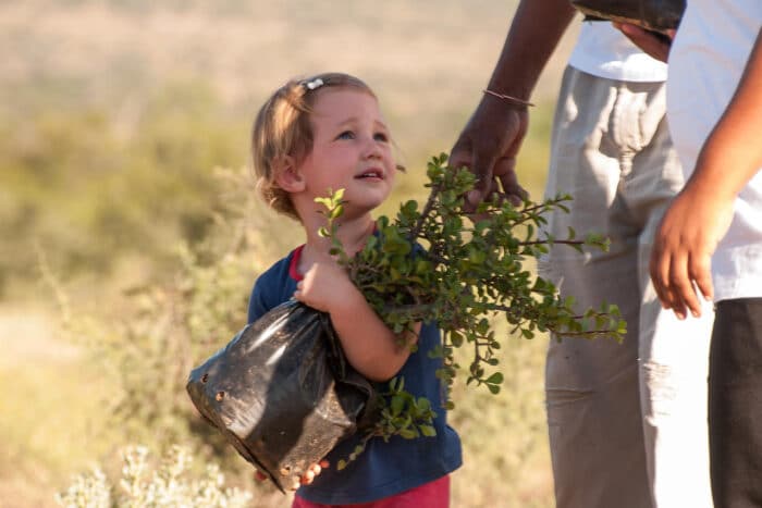 Cedarberg Travel | Samara Karoo Lodge