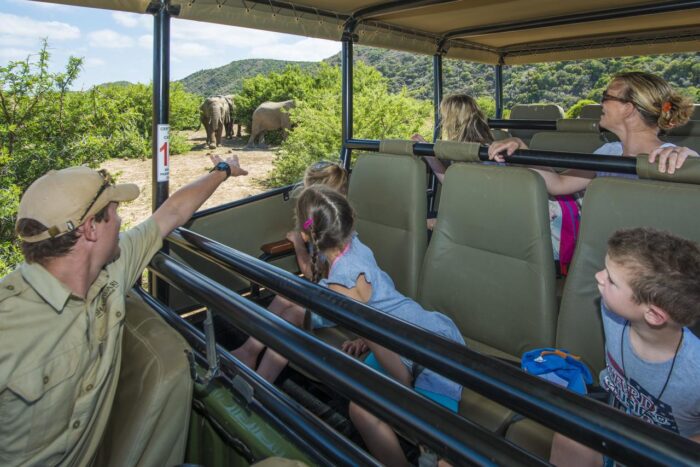 Cedarberg Travel | Riverdene Lodge  - Shamwari Game Reserve