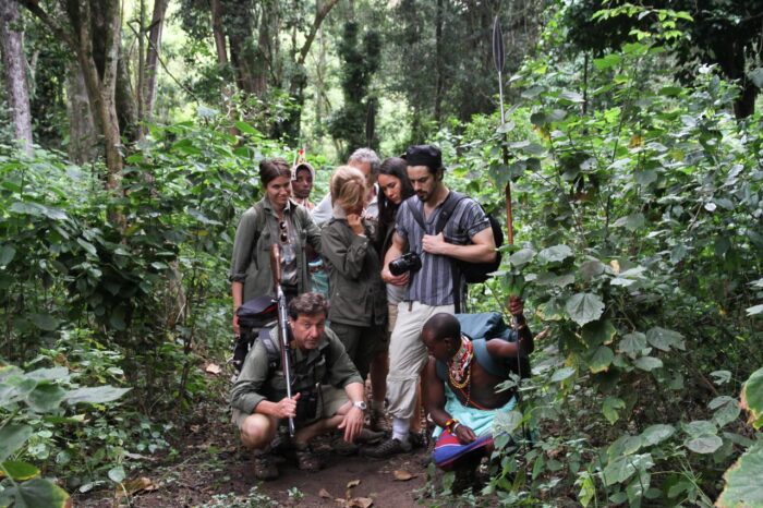 Cedarberg Travel | Kitich Camp Mathews Forest