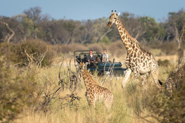 Cedarberg Travel | Little Tubu Camp