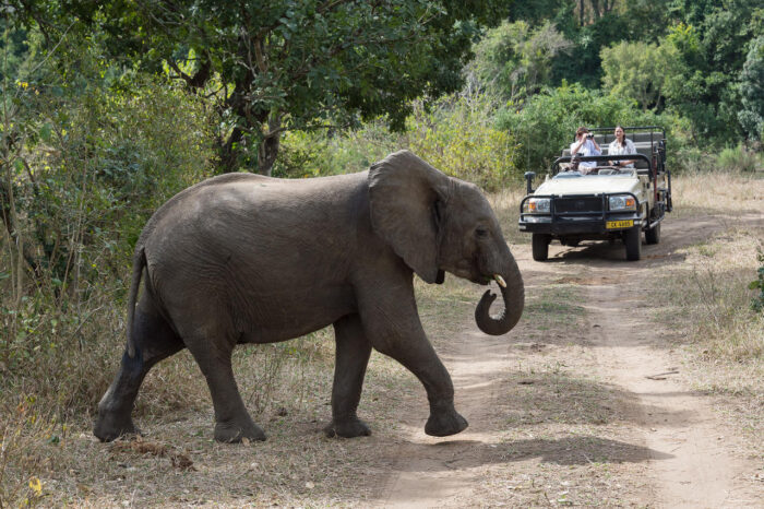 Cedarberg Travel | Mkulumadzi Camp