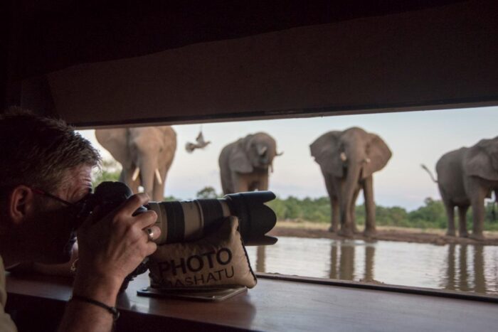 Cedarberg Travel | Mashatu Tented Camp