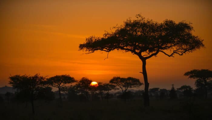 Cedarberg Travel | Asanja Moru Camp