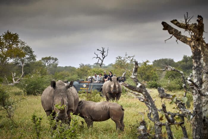 Cedarberg Travel | Motswari Game Lodge incl Geigers