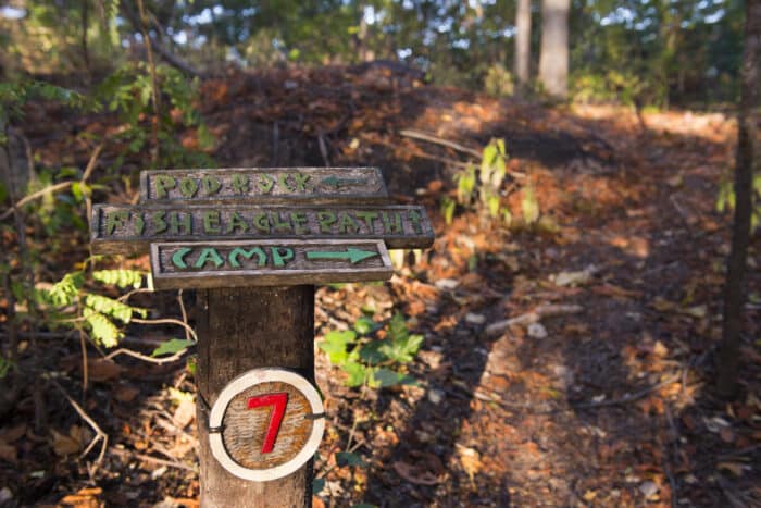 Cedarberg Travel | Mumbo Island Camp