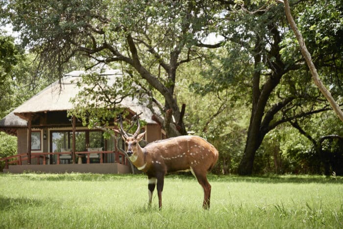 Cedarberg Travel | Sanctuary Chobe Chilwero