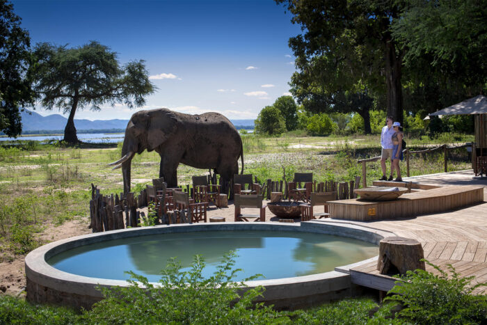 Cedarberg Travel | Nyamatusi Camp