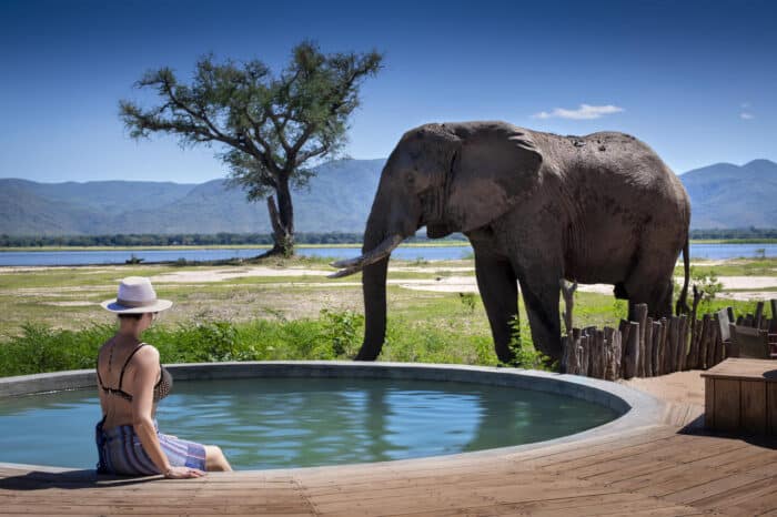 Cedarberg Travel | Nyamatusi Camp