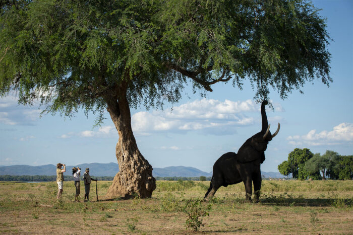 Cedarberg Travel | Nyamatusi Camp