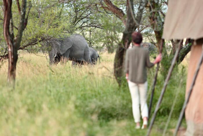 Cedarberg Travel | Olakira Camp