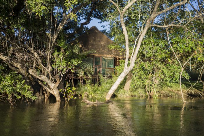 Cedarberg Travel | Kaingu Safari Lodge