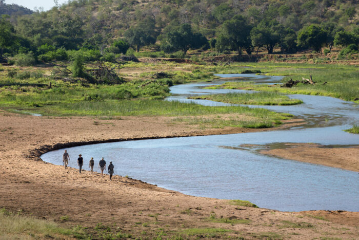 Cedarberg Travel | Pafuri Camp