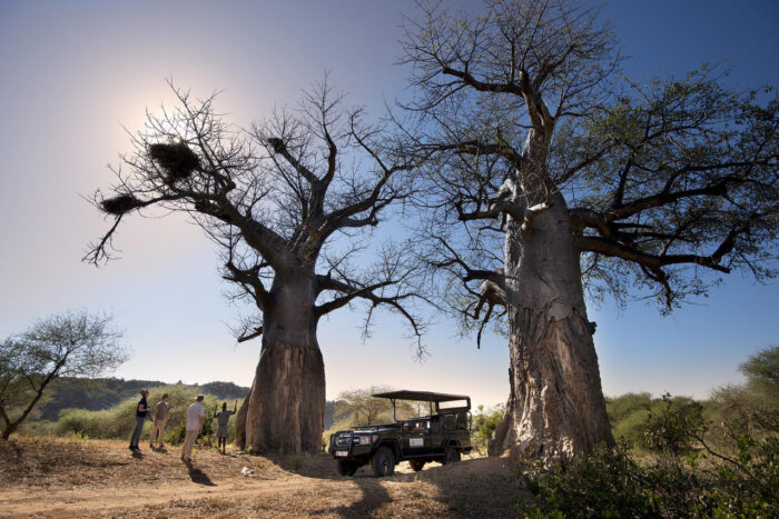 Cedarberg Travel | Pafuri Camp