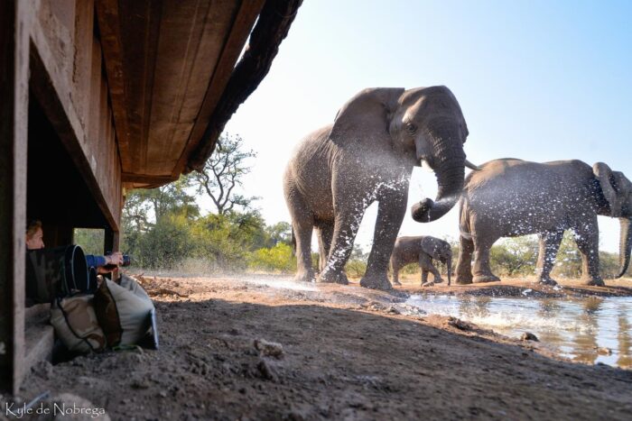 Cedarberg Travel | Mashatu Lodge