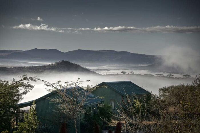 Cedarberg Travel | Three Trees at Spioenkop