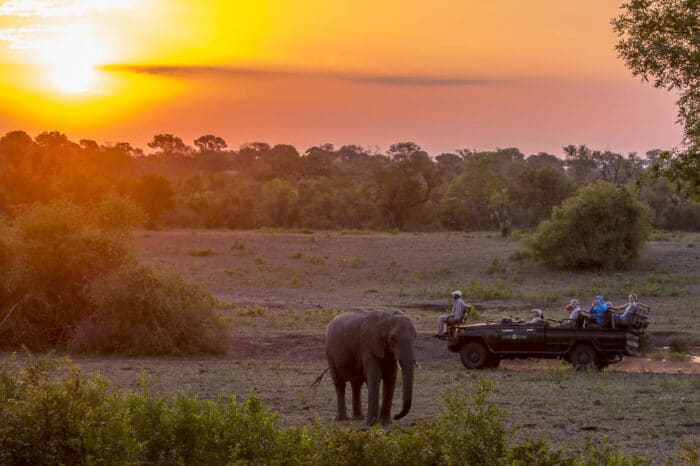 Cedarberg Travel | Sabi Sabi Bush Lodge