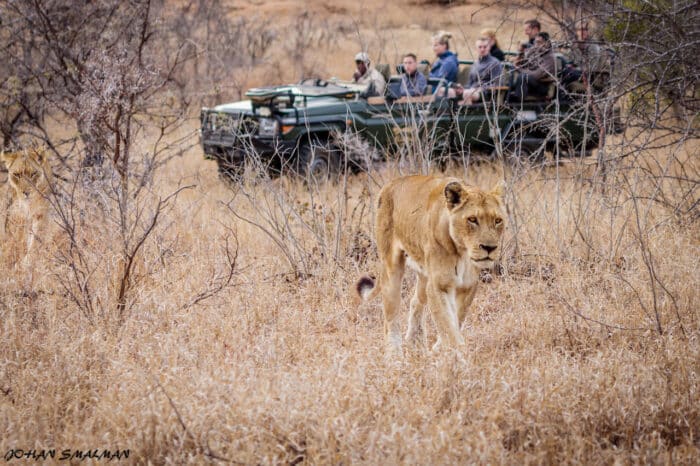 Cedarberg Travel | Shindzela Tented Camp