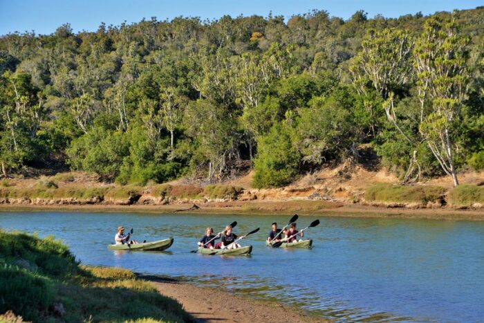 Cedarberg Travel | Sibuya Forest Camp