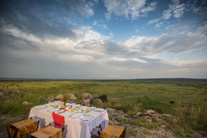 Cedarberg Travel | Tarangire Treetops